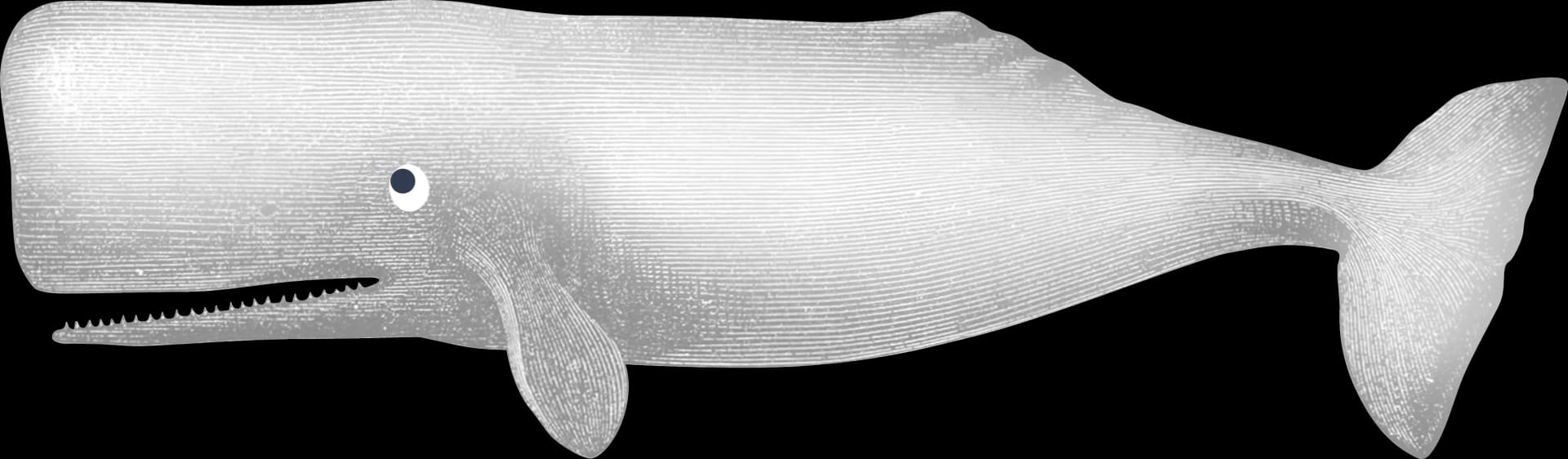 Request a Quote Whale